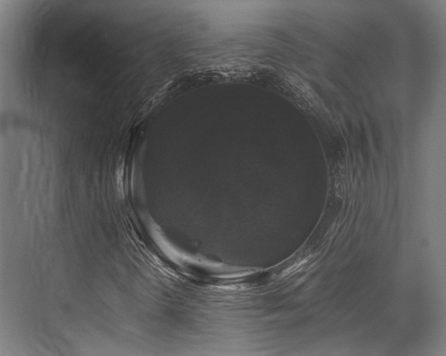 X0000075921298200609151444