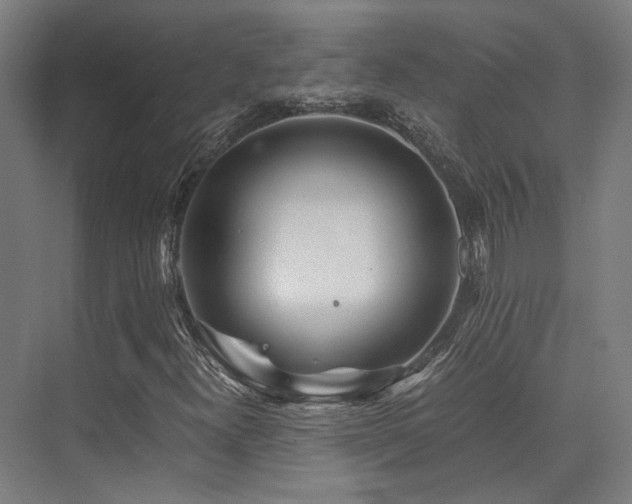 X0000075921300200609151444