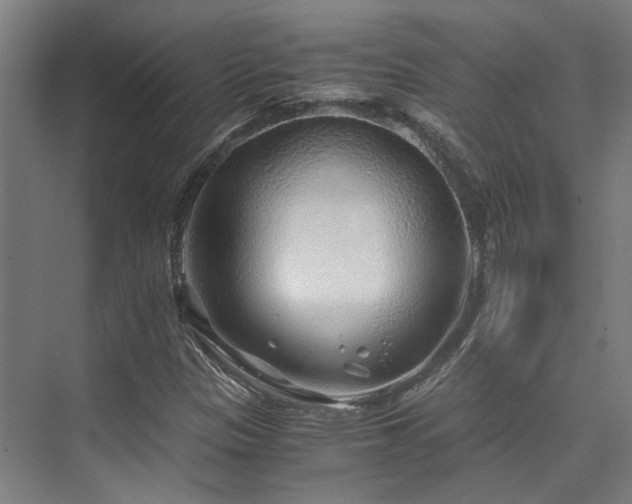 X0000075921305200609151444