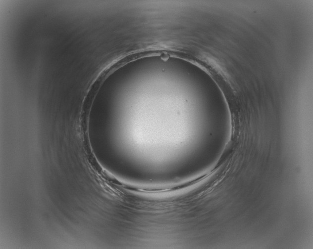 X0000075921308200609151444
