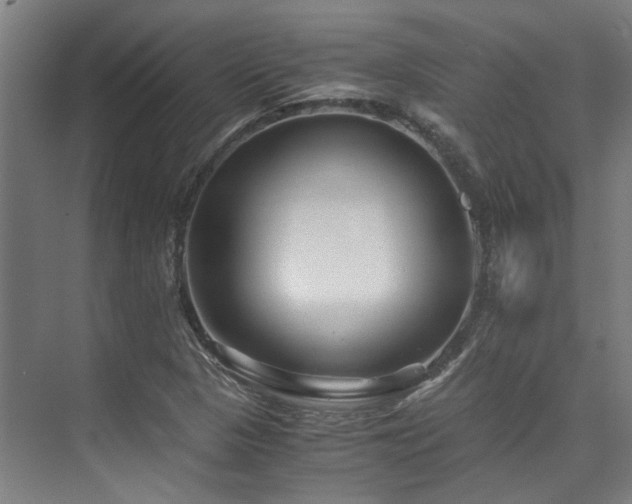 X0000075921313200609151444