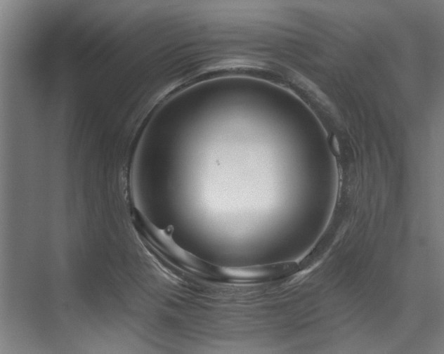 X0000075921321200609151444