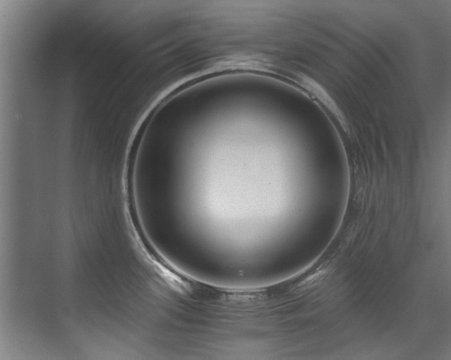 X0000075921339200609151445