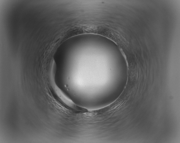 X0000075921345200609151444