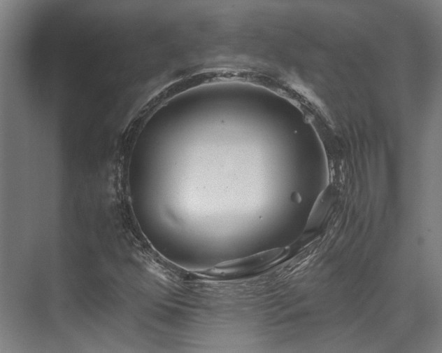 X0000075921352200609151444