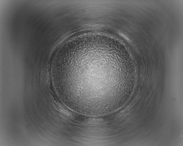 X0000075921354200609151444