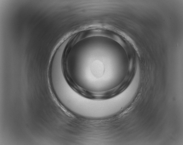 X0000075921373200609151444