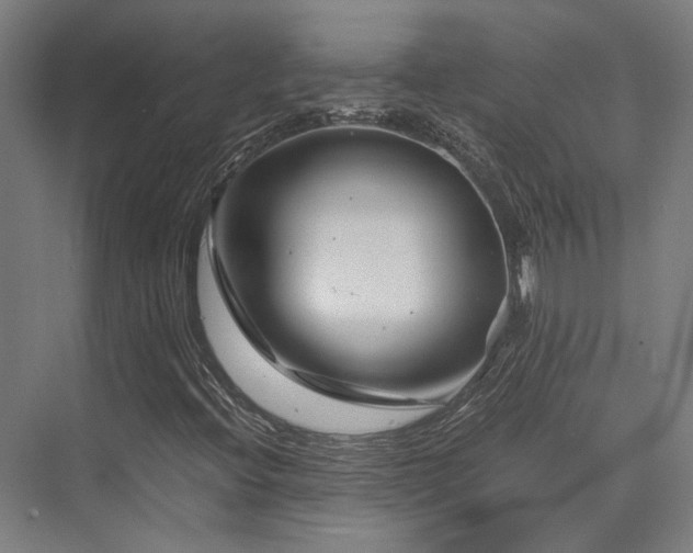 X0000075921396200609151442