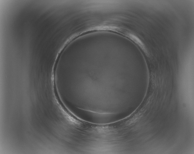 X0000075921428200609151443