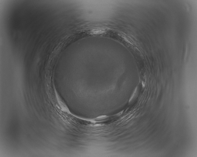 X0000075921441200609151442