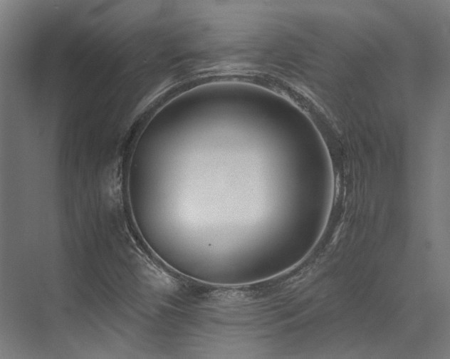 X0000075921450200609151442
