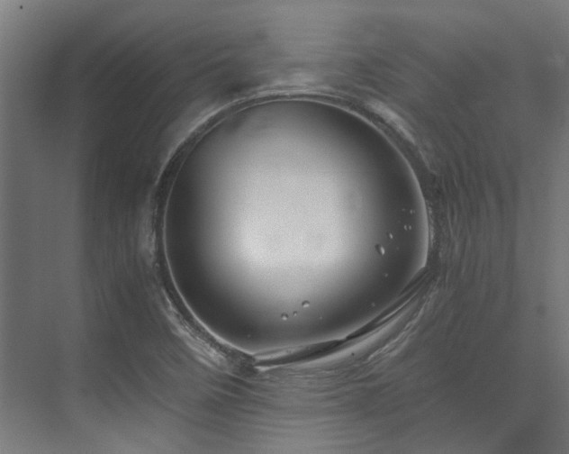 X0000075921458200609151442