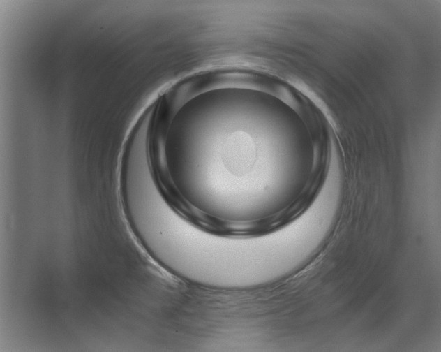 X0000075921477200609151442