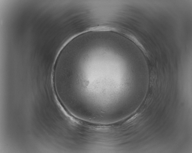 X0000075921484200609151442