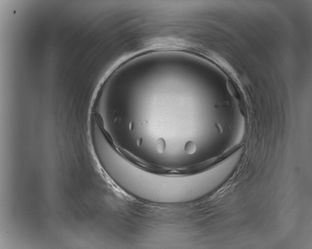 X0000075921488200609151442
