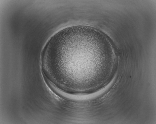 X0000075921508200609151441