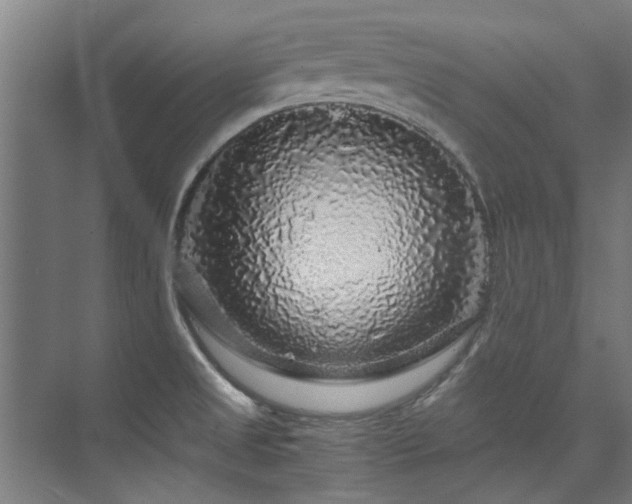 X0000075921525200609151441