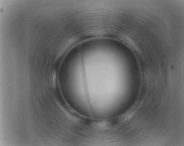 X0000075920118200609222036