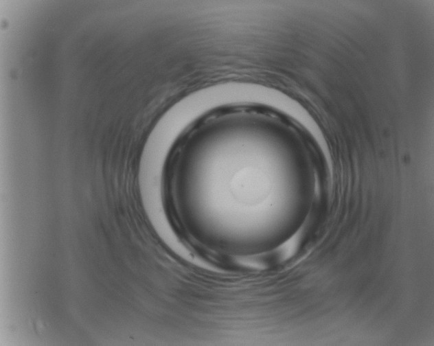 X0000075920621200609222028