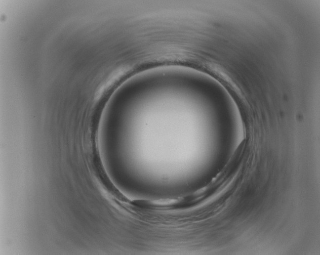 X0000075920677200609222027