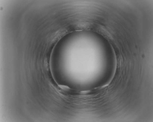 X0000075920764200609222026