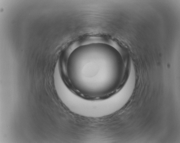 X0000075921349200609222016