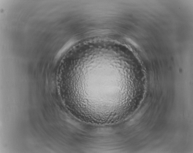 X0000075921354200609222016