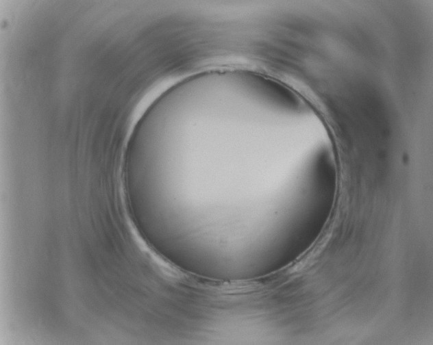 X0000075921440200609222015