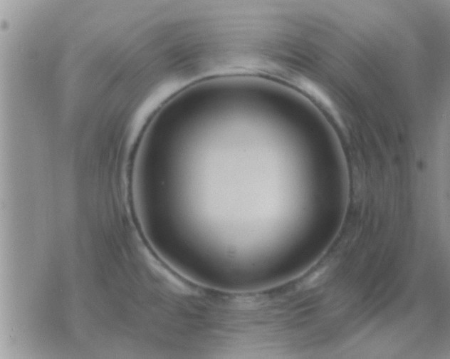 X0000075921480200609222014