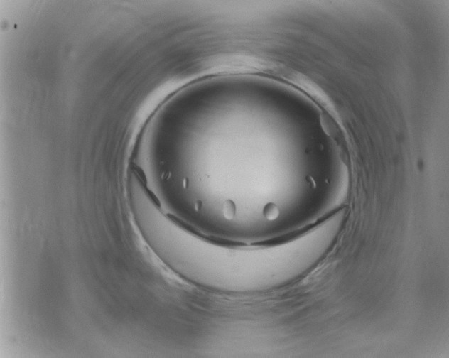X0000075921488200609222014