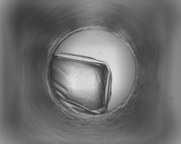 X0000075920001200609291836