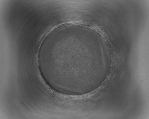 X0000075920002200609291836