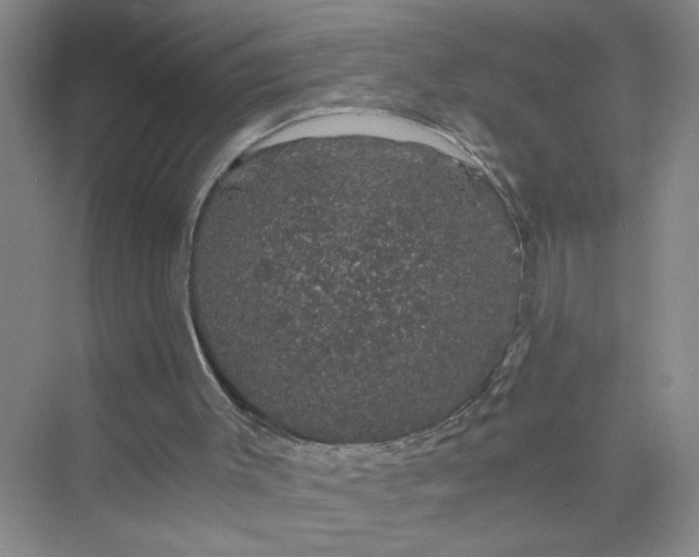 X0000075920003200609291836