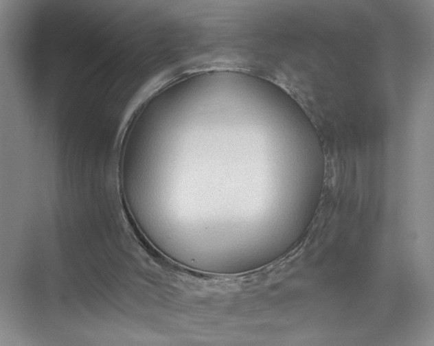 X0000075920004200609291836