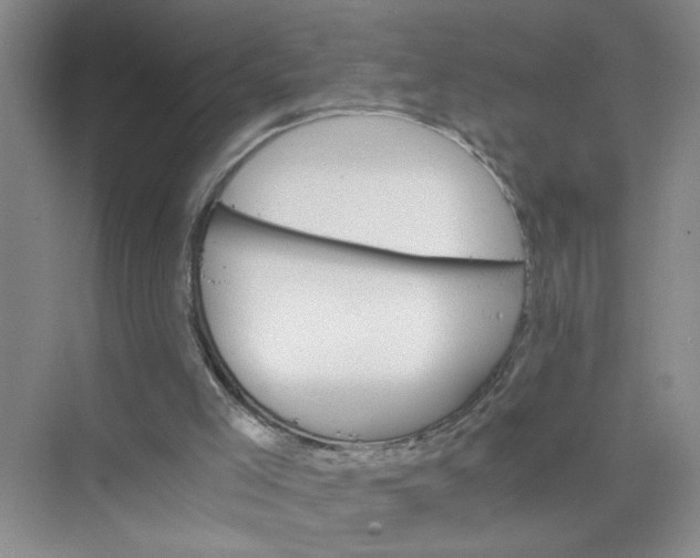 X0000075920005200609291836