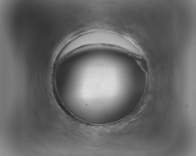 X0000075920007200609291836