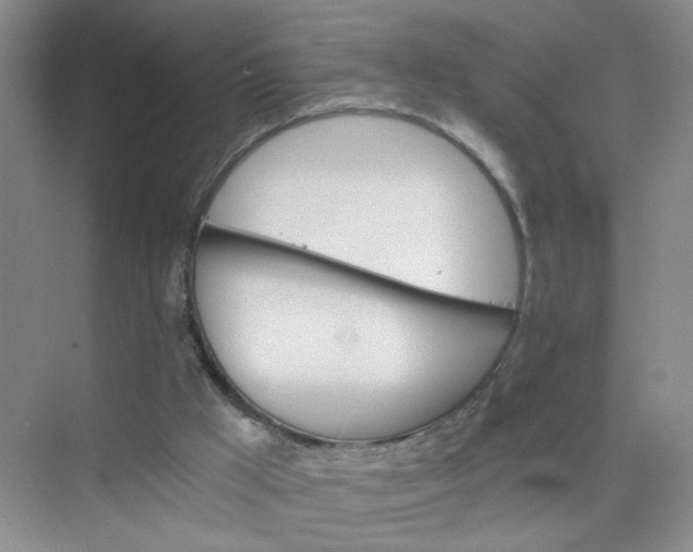 X0000075920009200609291836