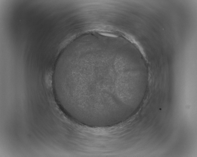 X0000075920010200609291836