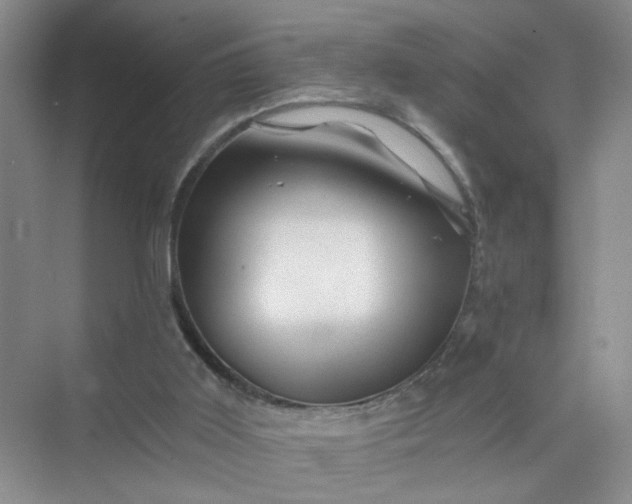 X0000075920011200609291836