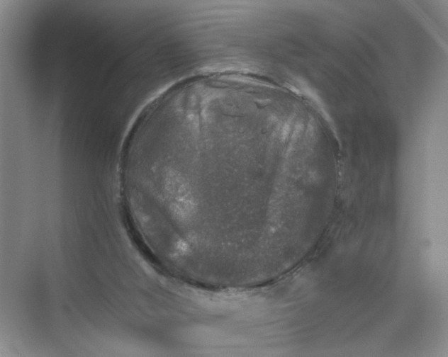 X0000075920012200609291836