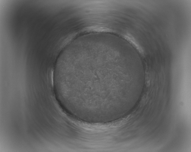 X0000075920014200609291836