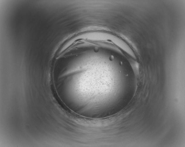 X0000075920015200609291836