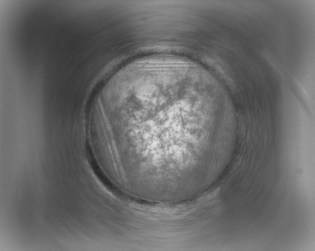 X0000075920016200609291836