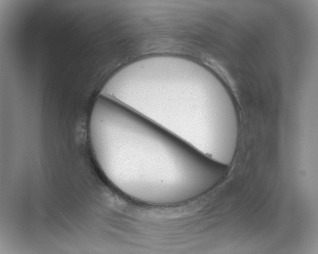 X0000075920017200609291836