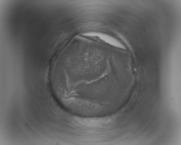 X0000075920018200609291836