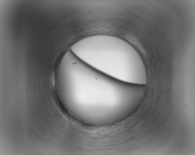 X0000075920021200609291836