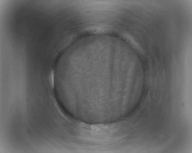 X0000075920022200609291836