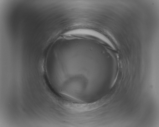 X0000075920023200609291836