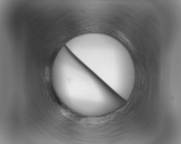 X0000075920025200609291836