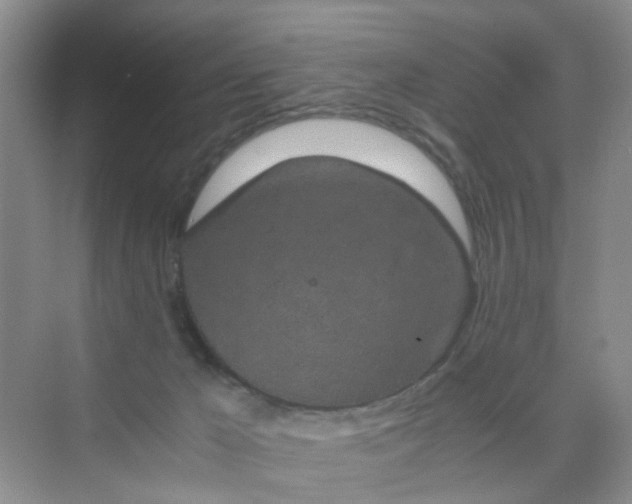 X0000075920029200609291836